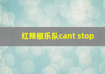 红辣椒乐队cant stop